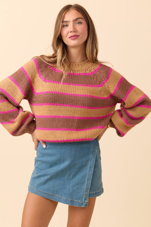Terri Brown and Pink Stripe Sweater