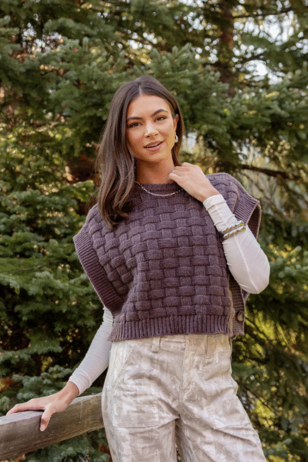 Nevah Brown Cable Knit Vest